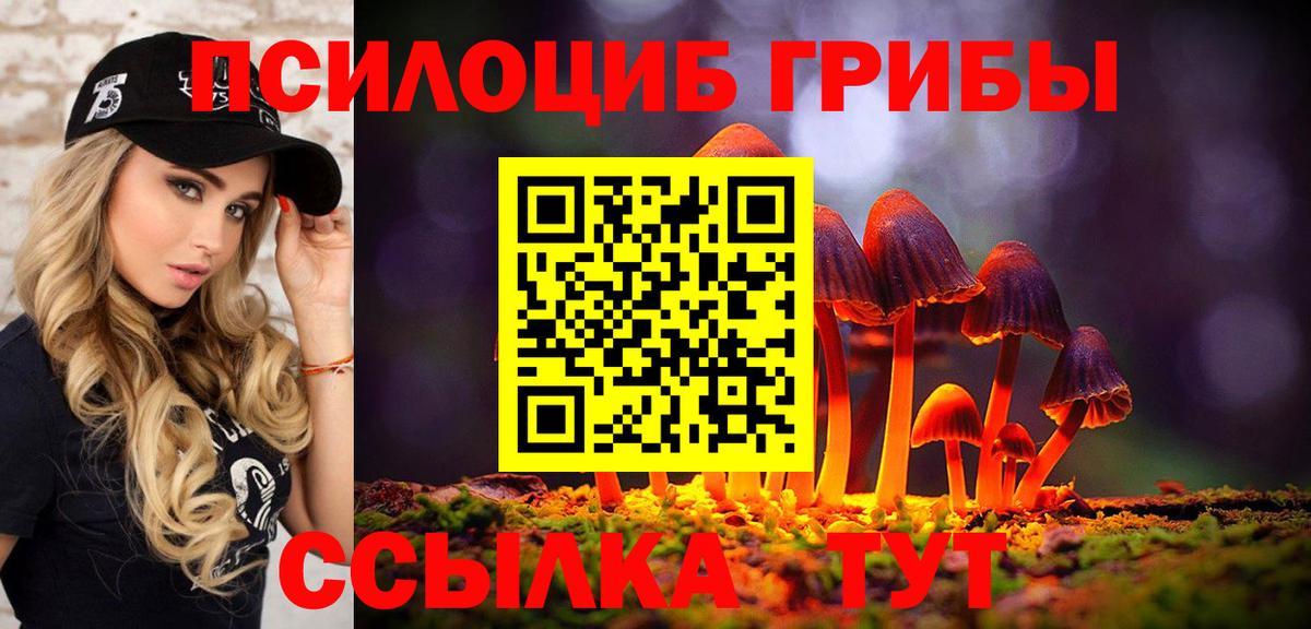 Галлюциногенные грибы GOLDEN TEACHER  Вход с VPN  Иваново 
